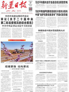 新疆日报(汉)